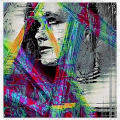 Rex Canvas 16  X 16  by MRNStudios