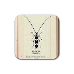 Img016 Rubber Coaster (square) by Limerence