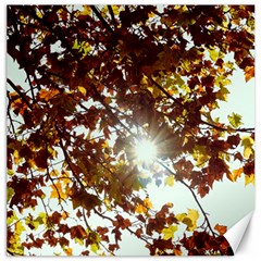 Golden Leaf s Canvas 20  X 20  by DimitriosArt
