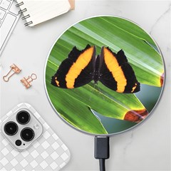 Butterfly  Wireless Charger by DimitriosArt
