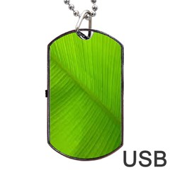 Banana Leaf Dog Tag Usb Flash (two Sides) by artworkshop