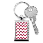Illustration Watermelon Fruit-food Melon Key Chain (Rectangle) Front
