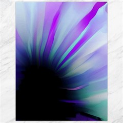 Mirror Fractal Canvas 12  X 16  by Sparkle