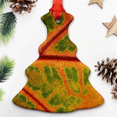 Leaf Veins Texture Autumn Fall Christmas Tree Ornament (two Sides) by Wegoenart