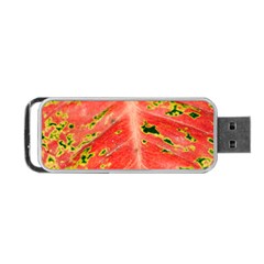 Aglonema Leaf Plant Pattern Flora Portable Usb Flash (two Sides) by danenraven