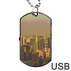 Buenos Aires City Aerial View002 Dog Tag Usb Flash (two Sides) by dflcprintsclothing