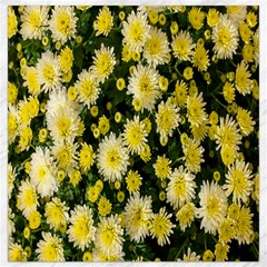 Autumn Background Closeup Flowers Canvas 16  X 16  by artworkshop