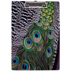 Peacock Bird Feather Colourful A4 Acrylic Clipboard by Jancukart