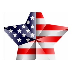 United States Of America Flag Of The United States Independence Day Two Sides Premium Plush Fleece Blanket (mini) by danenraven