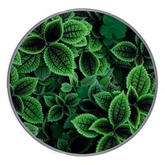 Shanghai Botanical Garden Wireless Fast Charger(white) by Cowasu