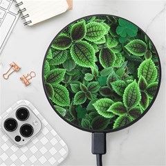 Shanghai Botanical Garden Wireless Fast Charger(black) by Cowasu