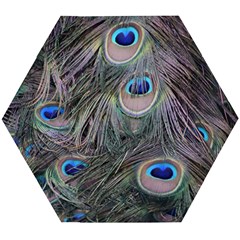 Peacock Feathers Peacock Bird Feathers Wooden Puzzle Hexagon by Ndabl3x