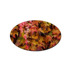 Red And Yellow Ivy  Sticker (oval) by okhismakingart