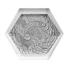 Wings-feathers-cubism-mosaic Hexagon Wood Jewelry Box by Bedest