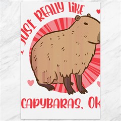 Capybara Art T- Shirt I Just Really Like Capybaras O K  T- Shirt Yoga Reflexion Pose T- Shirtyoga Reflexion Pose T- Shirt Canvas 12  X 18  by hizuto