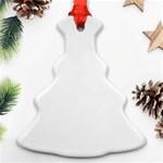 Bird Lover T- Shirtbird T- Shirt (6) Christmas Tree Ornament (Two Sides) Back