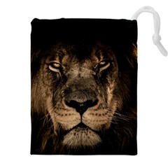 African-lion-mane-close-eyes Drawstring Pouch (5xl) by Ket1n9