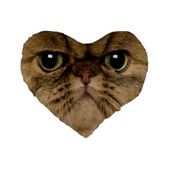 Cute Persian Catface In Closeup Standard 16  Premium Flano Heart Shape Cushions by Amaryn4rt
