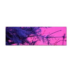Fir Sunset Frost Snow Sticker (bumper) by Pakjumat