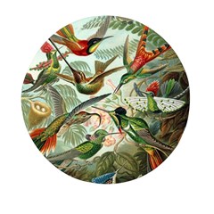 Humming Birds Trochilidae Mini Round Pill Box (pack Of 3) by Pakjumat