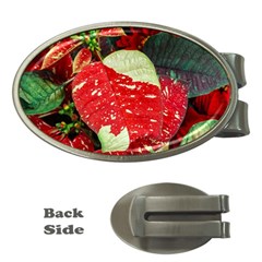 Poinsettia Christmas Star Plant Money Clips (oval)  by Sarkoni