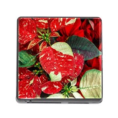 Poinsettia Christmas Star Plant Memory Card Reader (square 5 Slot) by Sarkoni