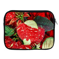 Poinsettia Christmas Star Plant Apple Ipad 2/3/4 Zipper Cases by Sarkoni