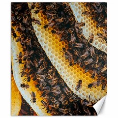 Yellow And Black Bees On Brown And Black Canvas 8  X 10  by Ndabl3x