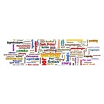 Writing Author Motivation Words Oblong Satin Scarf (16  x 60 ) Front