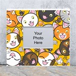 Cats Cute Kitty Kitties Kitten White Wall Photo Frame 5  x 7  Front