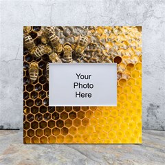 Honeycomb With Bees White Box Photo Frame 4  X 6  by Bedest
