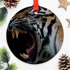Angry Tiger Roar Ornament (round) by Cemarart