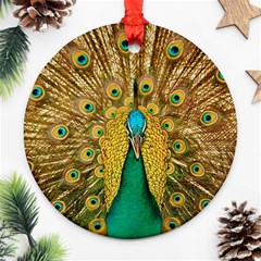 Peacock Feather Bird Peafowl Ornament (round) by Cemarart