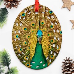 Peacock Feather Bird Peafowl Oval Filigree Ornament (two Sides) by Cemarart