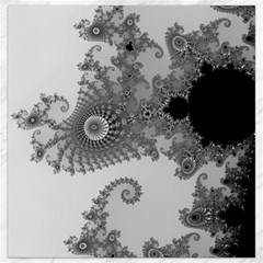 Males Mandelbrot Abstract Almond Bread Canvas 16  X 16  by Cemarart