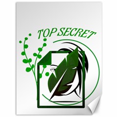 Top Secret Canvas 36  X 48  by Raju