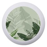 Banana Leaf Plant Pattern Dento Box with Mirror Front