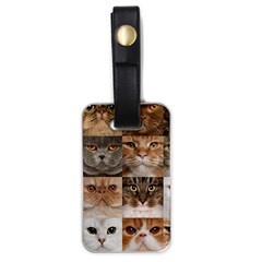 Breeds Of Cats Collage Luggage Tag (one Side) by kyorashop23
