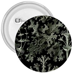 Weave Haeckel Lichenes Photobionten 3  Buttons by Cemarart