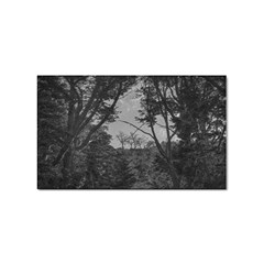Patagonia Forest, Nahuel Huapi National Park, Rio Negro, Argentina Sticker Rectangular (100 Pack) by dflcprintsclothing