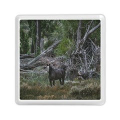 Meadow Landscape, Los Altares, Chubut Province, Argentina Memory Card Reader (square) by dflcprintsclothing