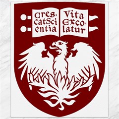 University Of Chicago Canvas 20  X 24  by avitendut
