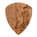 Tondo Wood Guitar Pick (Set of 10) Front